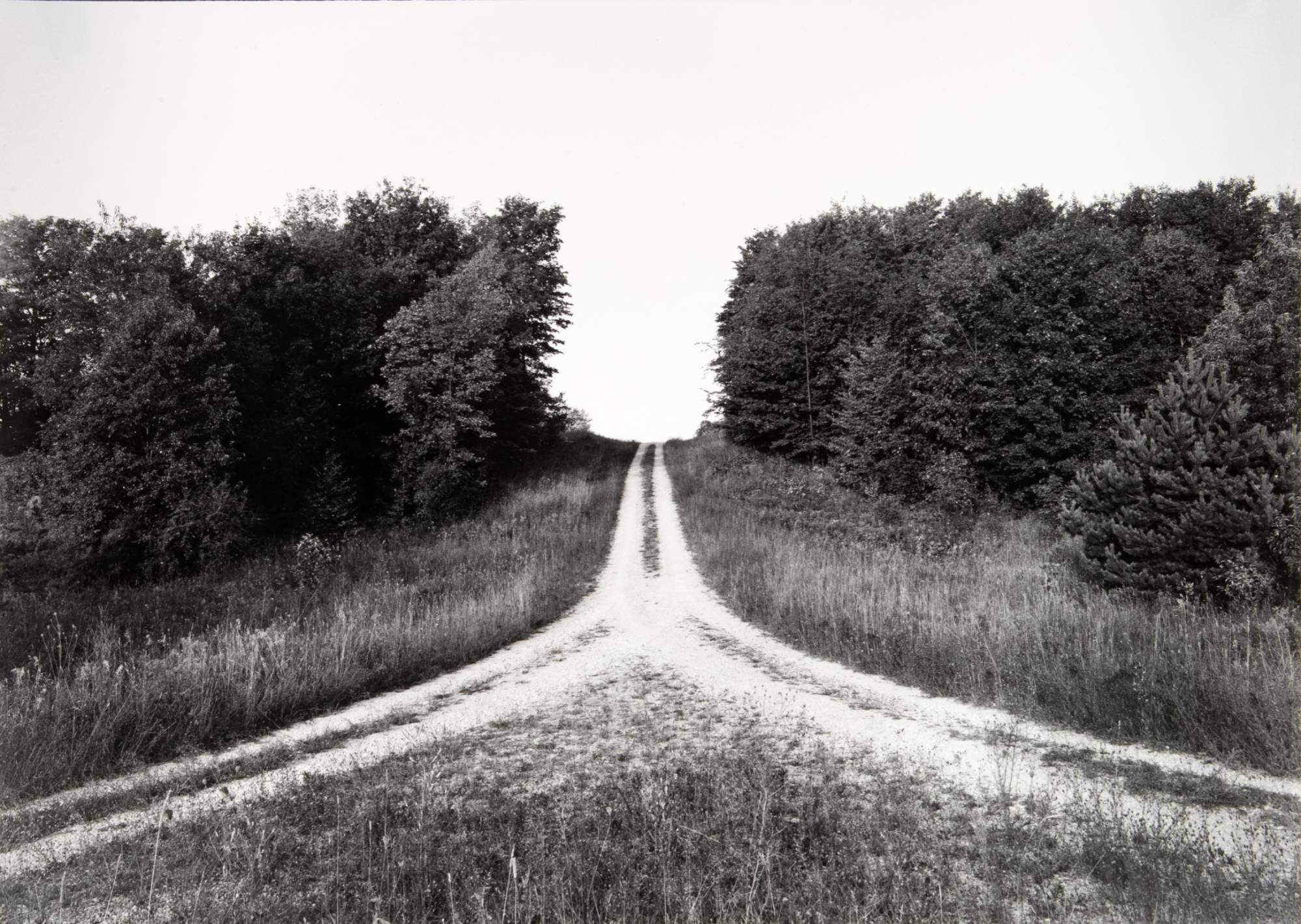 two-track dirt road leading to a line of trees on the horizon